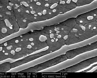 /static/micrographs/micrograph967.png